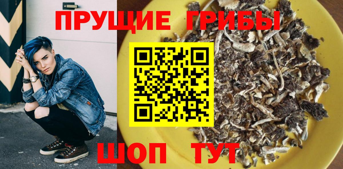 Галлюциногенные грибы Cubensis Родники