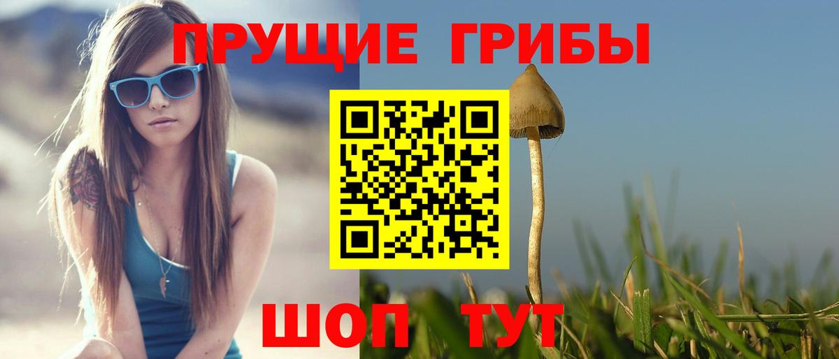 Родники  Галлюциногенные грибы мухоморы  Вход с VPN 
